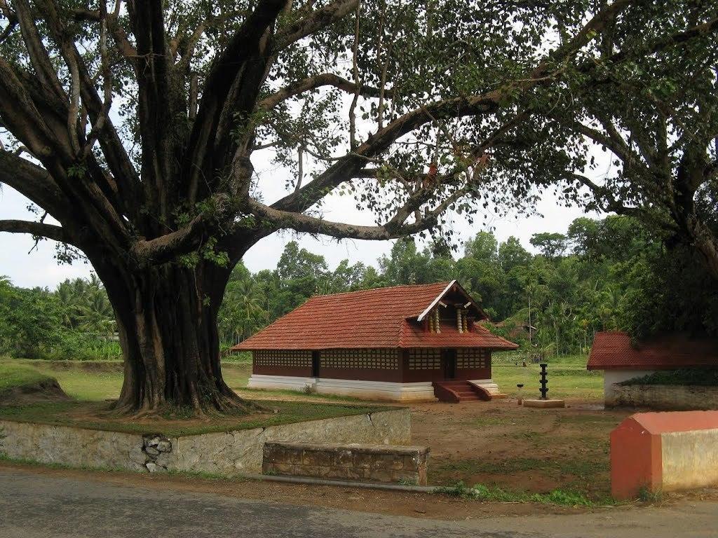 Wayanad Gate Resort マナンタバディー エクステリア 写真
