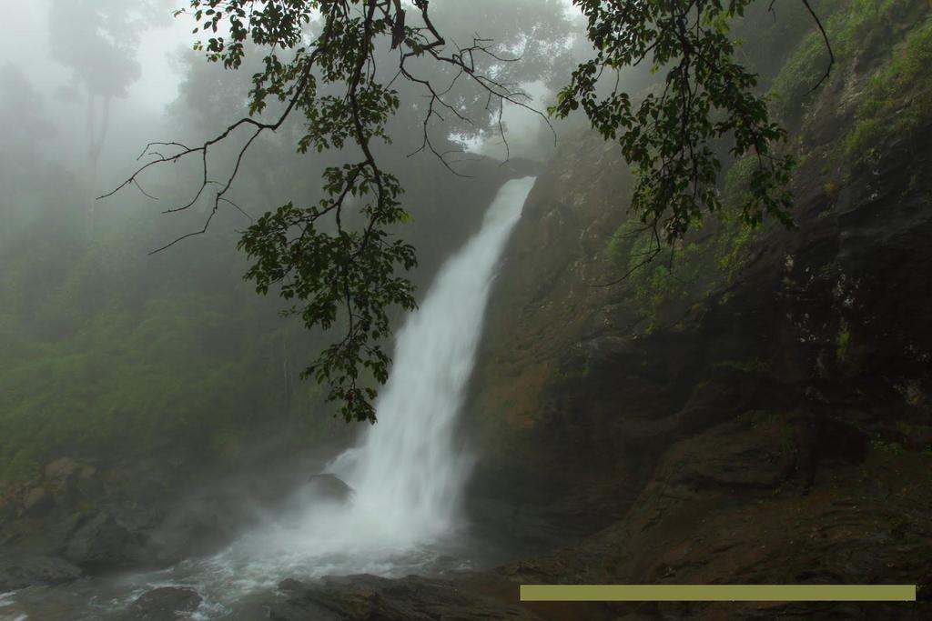 Wayanad Gate Resort マナンタバディー エクステリア 写真