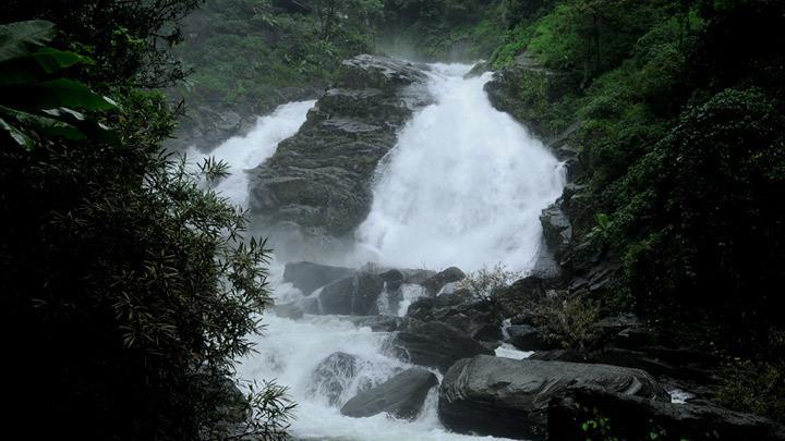 Wayanad Gate Resort マナンタバディー エクステリア 写真