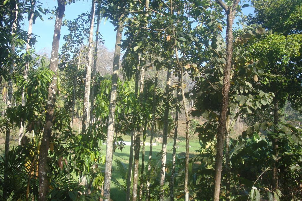 Wayanad Gate Resort マナンタバディー エクステリア 写真