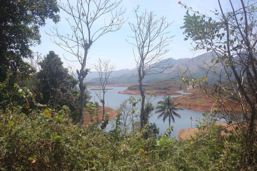 Wayanad Gate Resort マナンタバディー エクステリア 写真