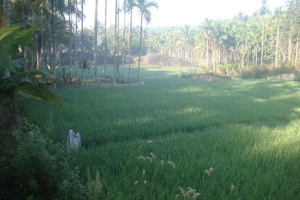 Wayanad Gate Resort マナンタバディー エクステリア 写真