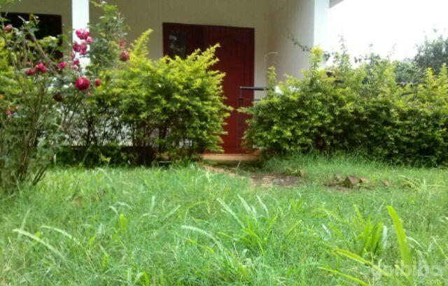 Wayanad Gate Resort マナンタバディー エクステリア 写真